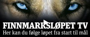 Finnmarksløpet ifinnmark dirketeending