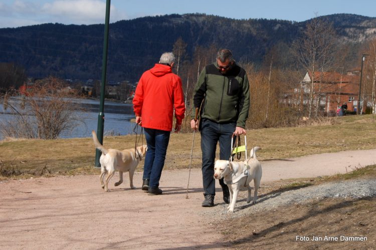 Møte med en blind og hans førerhund  -hva gjør vi?