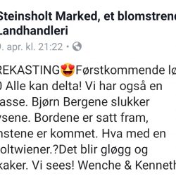 Endelig juletrekasting!