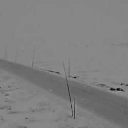 Nysnø natt til i dag, men den forsvant fort