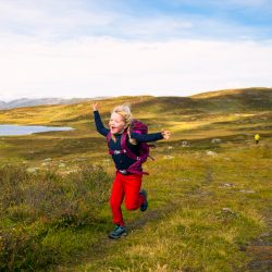 Kongevegen over Filefjell - ny vegsjef