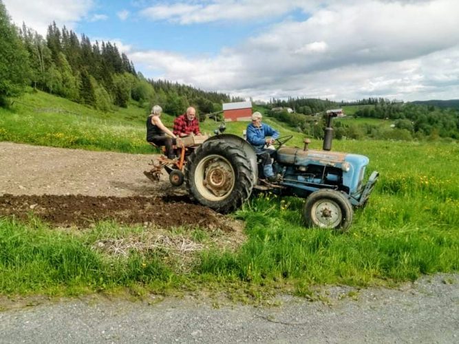 Kanteføll settes nå