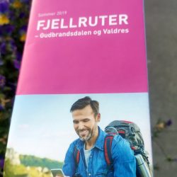 «Ta bussen til fjells» heter det - men hvor er det blitt av fjellrutene