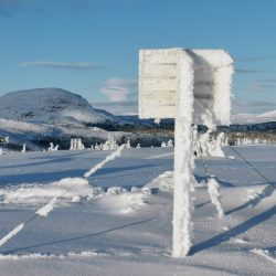 Skiløyper nå før jul? -Det er i Skrautvål i Valdres det!