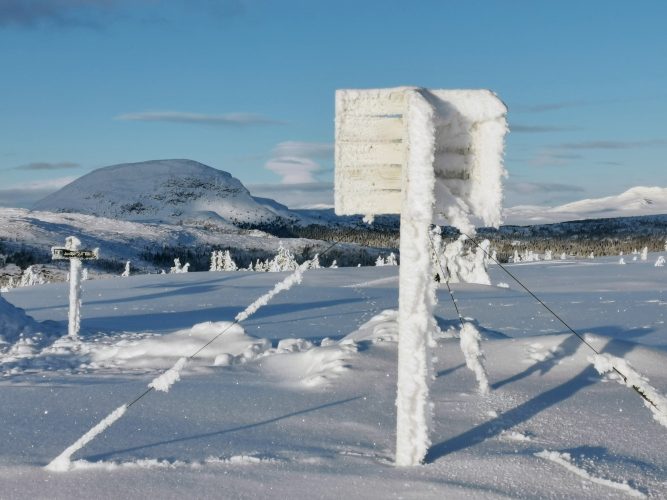 Skiløyper nå før jul? -Det er i Skrautvål i Valdres det!