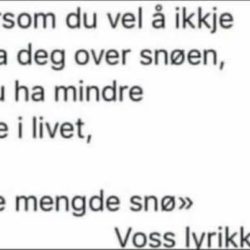 Lyrikk om vinterglede og myk mann på damejakt