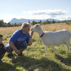 Kan Valdres bli et enda bedre sted å bo?