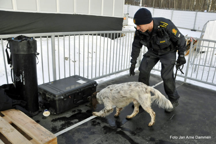 Bombehunden Walter - på Ski NM 2020