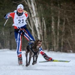 NM-veka i Trondheim avlyses