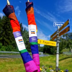 Fjellpride i fjellbygda Skrautvål 27. juni kl. 12.00.