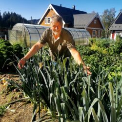 Du må ikke ha grønne fingre for å produsere maten din.