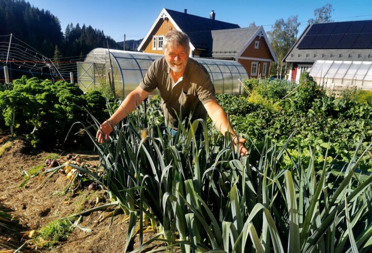 Du må ikke ha grønne fingre for å produsere maten din.