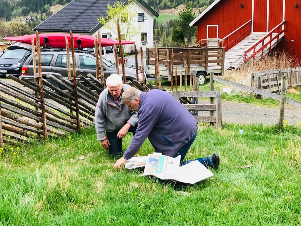 Anders Nordrum anbefaler ca 30 cm avstand mellom hver potet som legges på bakken og 70 cm mellom radene, før de dekkes med vått avispapir og organisk dekkmasse,