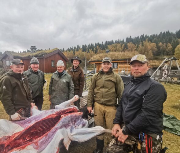 Engasjerte og dyktige lokale jegere, skaffer kortreist og god mat.