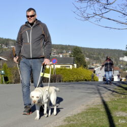 Bli med førerhunden Hope på jobb