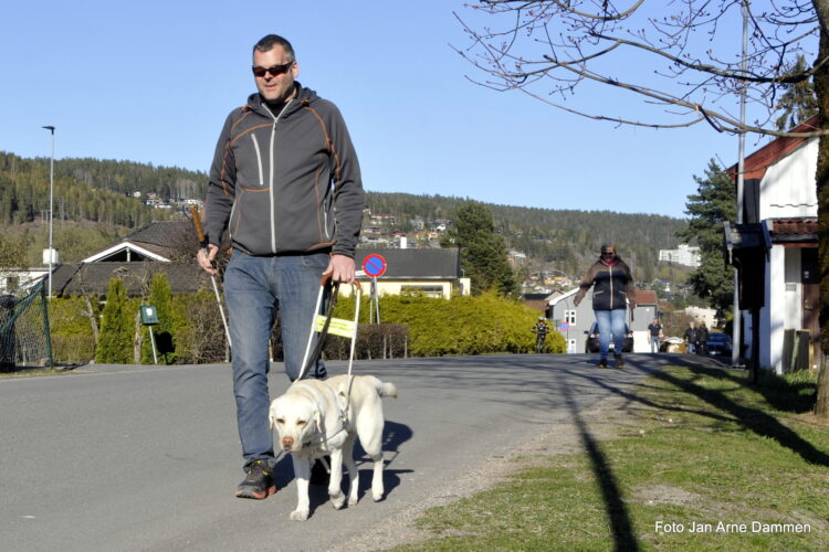 Bli med førerhunden Hope på jobb