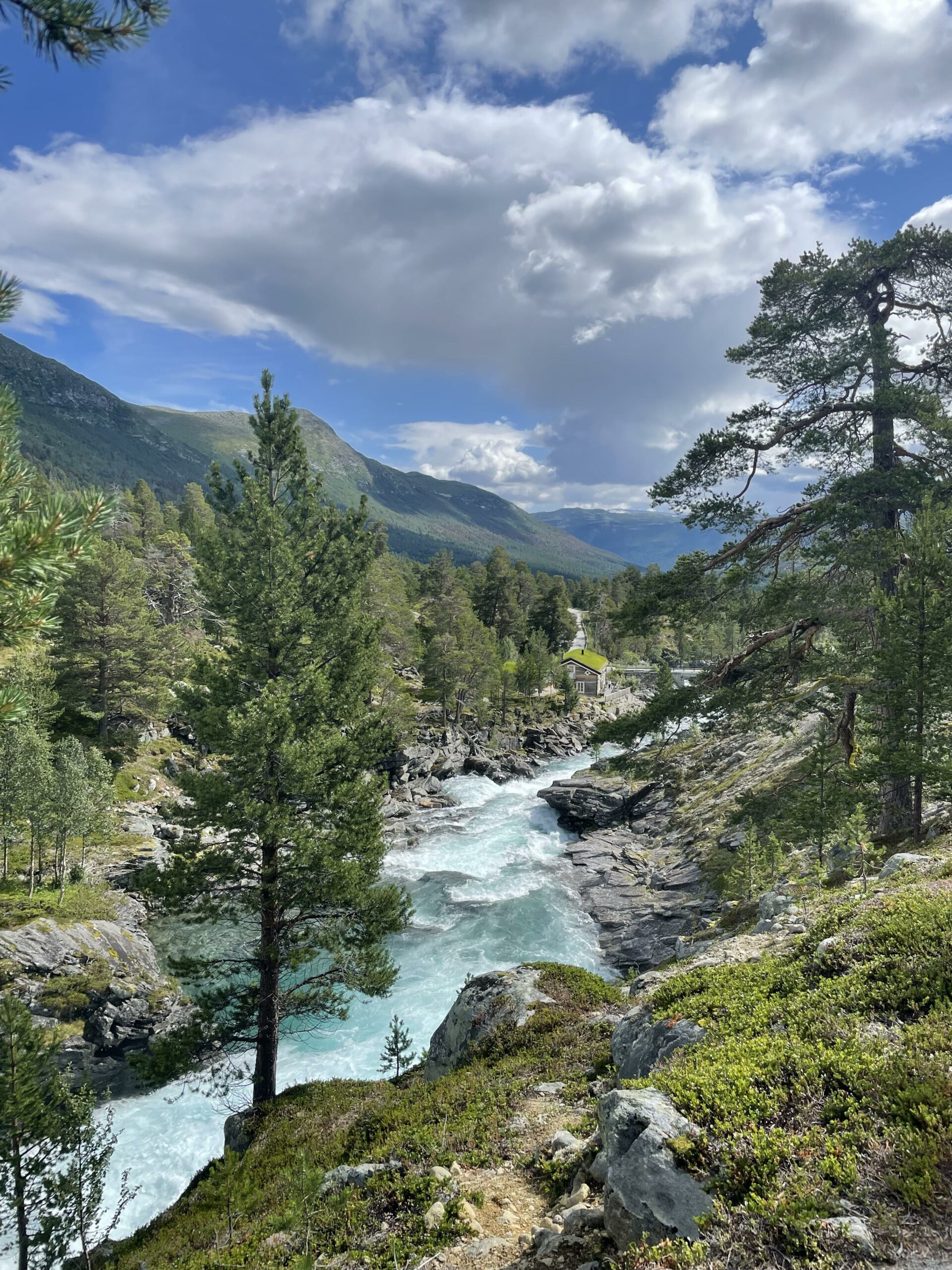 Ørreten stortrives i det turkise brevannet.