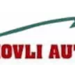 Hovli auto