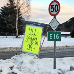 Edel Bakken i Bruktbua på Hjørnet i Sør Aurdal kommune
