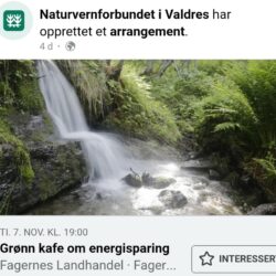 Refeat fra Grønn Kafé på Fagernes