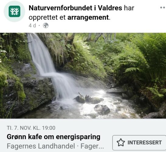 Refeat fra Grønn Kafé på Fagernes