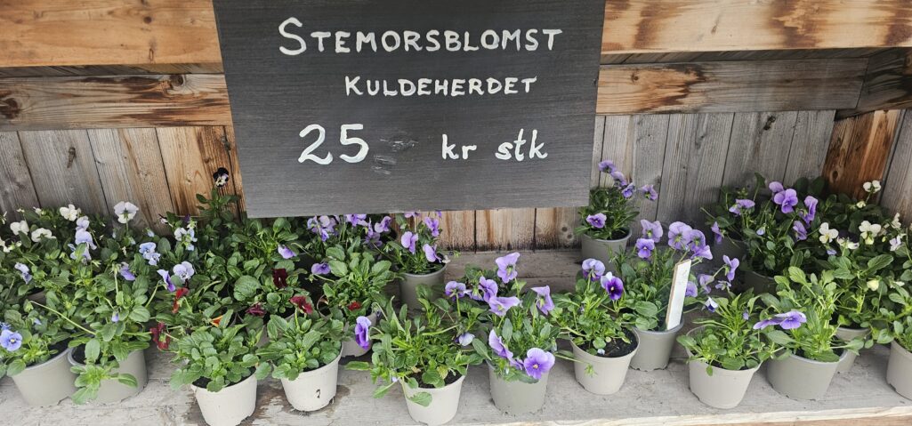 Slidreøya-innsatte gjev fargar til Valdres!