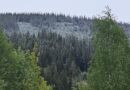 No kom væromslaget – og jammen vart det kvitt oppe på åsen ei lita stund