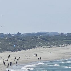 Hundrevis av drager og breie smil på Hellestø!